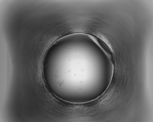 X0000095890385200801181230