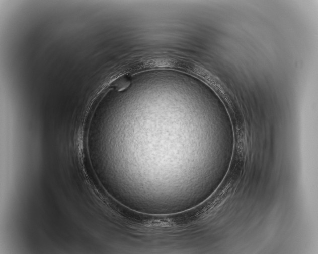 X0000095890386200801181230
