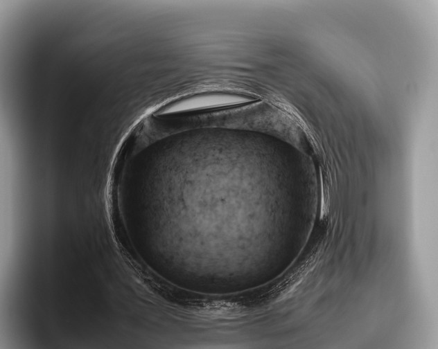 X0000095890387200801181230