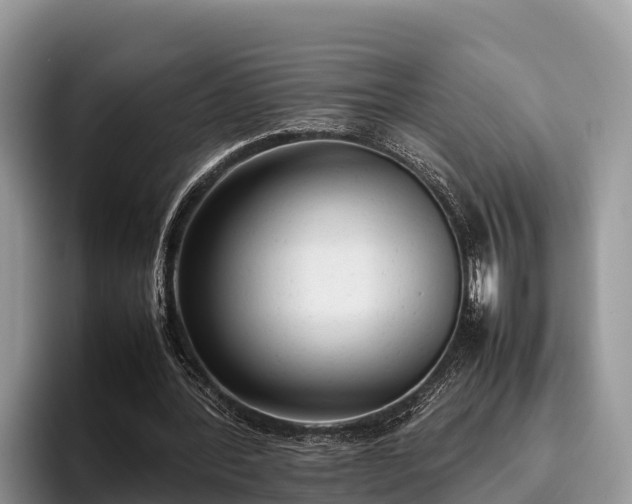 X0000095890388200801181230