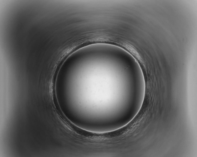 X0000095890389200801181230