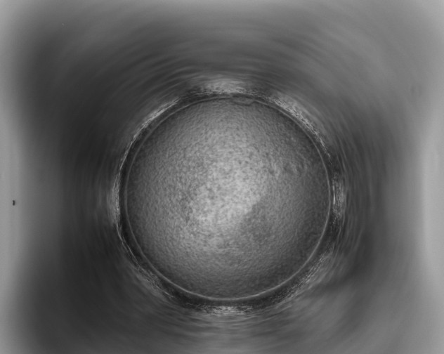 X0000095890390200801181230