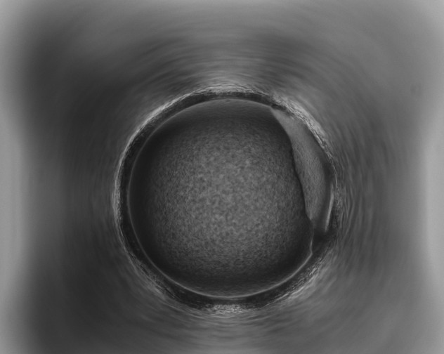 X0000095890391200801181230