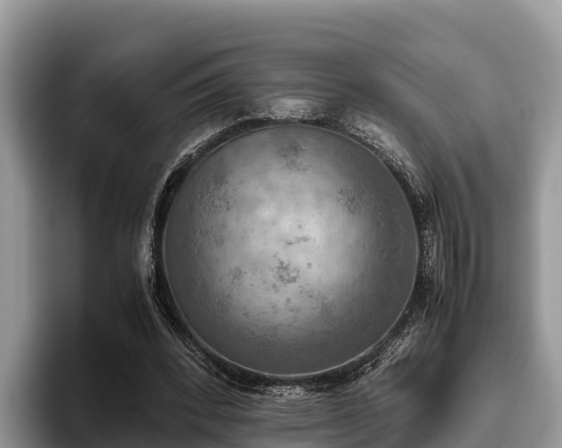 X0000095890392200801181230