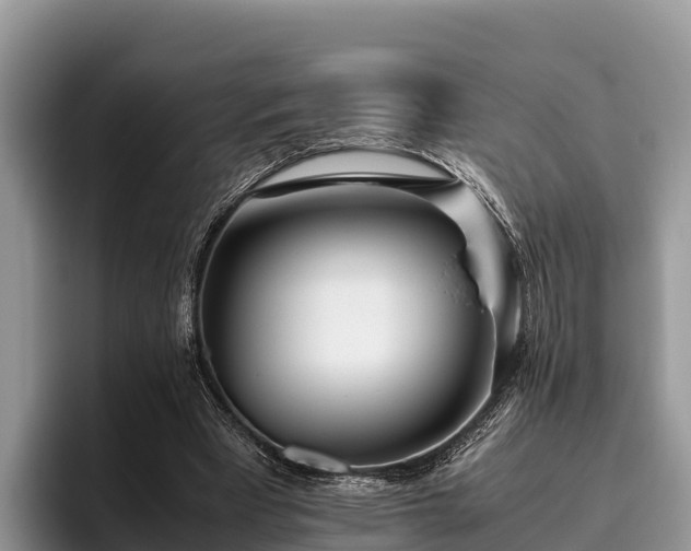 X0000095890393200801181230