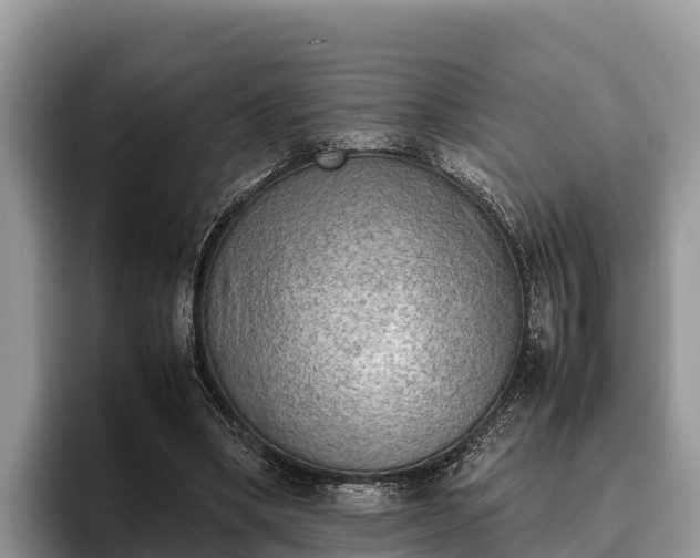X0000095890394200801181230
