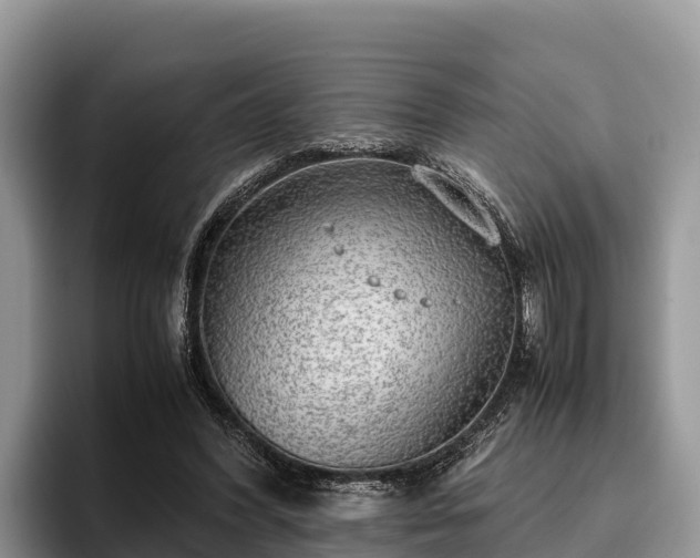 X0000095890396200801181230