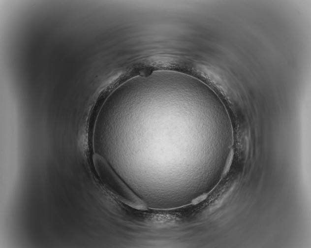 X0000095890399200801181230