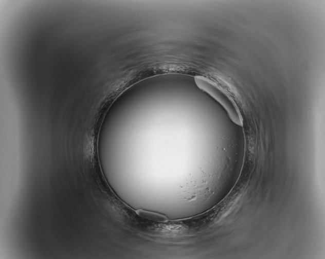 X0000095890401200801181230