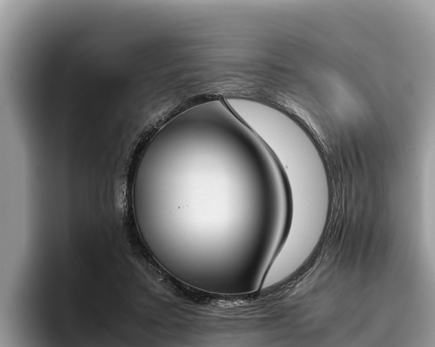 X0000095890403200801181230