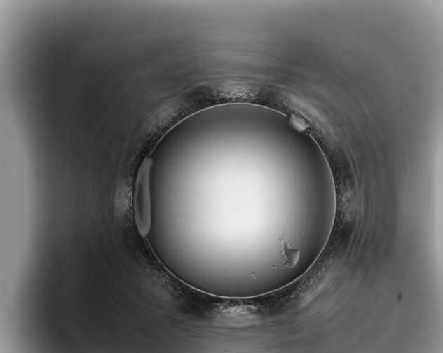 X0000095890407200801181230