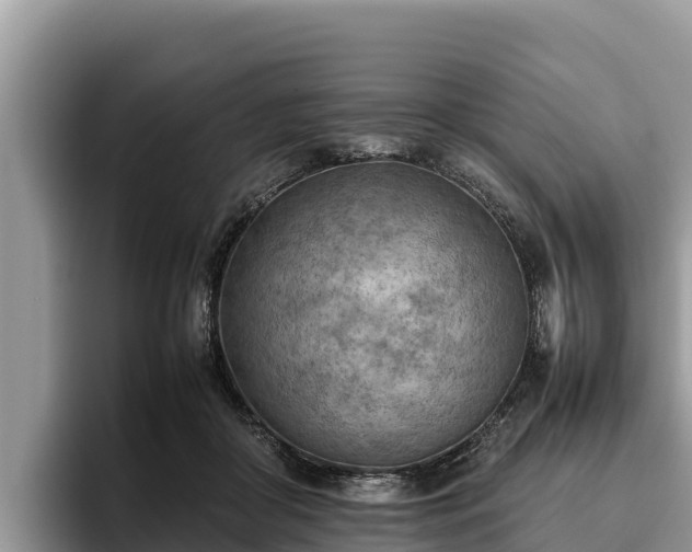 X0000095890410200801181230