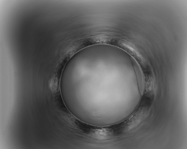 X0000095890411200801181230