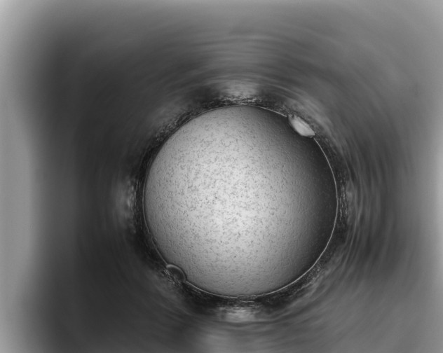 X0000095890412200801181230