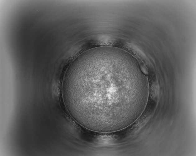 X0000095890413200801181230