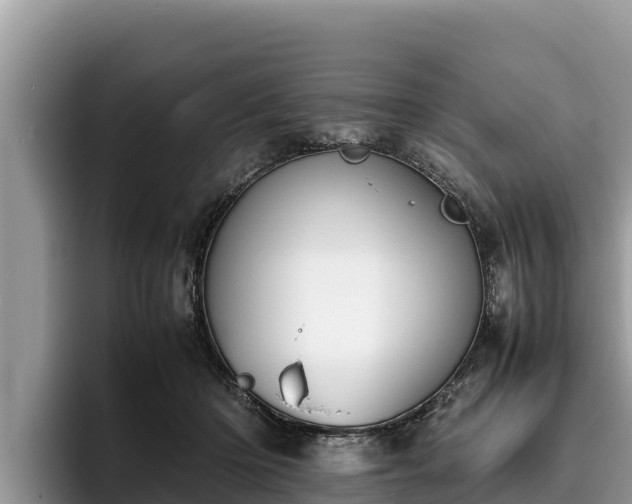 X0000095890414200801181230