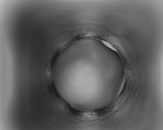 X0000095890415200801181230