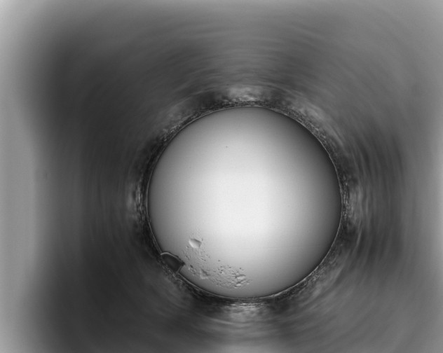 X0000095890418200801181230