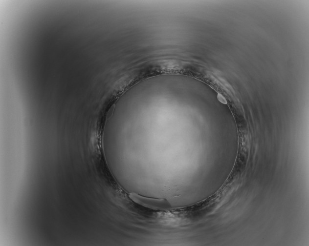 X0000095890419200801181230