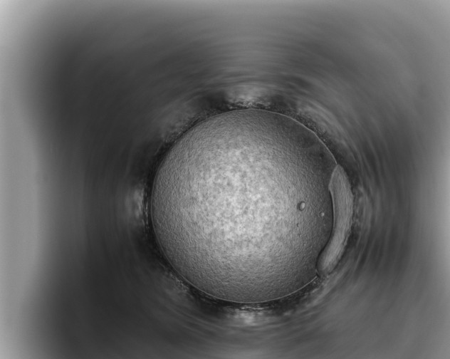 X0000095890420200801181230