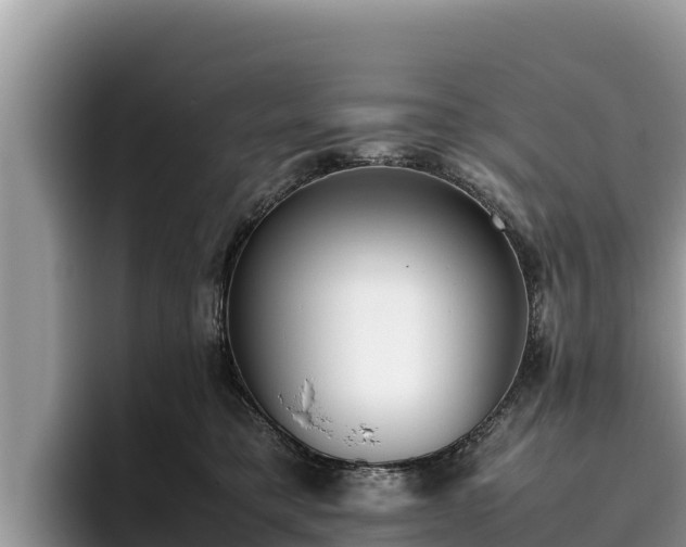 X0000095890421200801181229