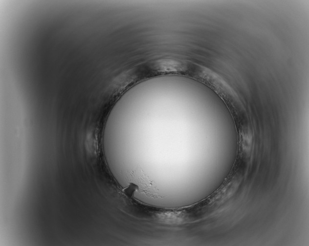 X0000095890422200801181229