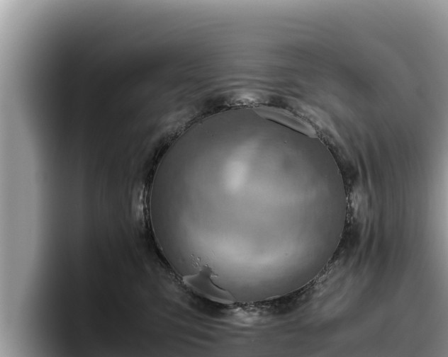 X0000095890423200801181229