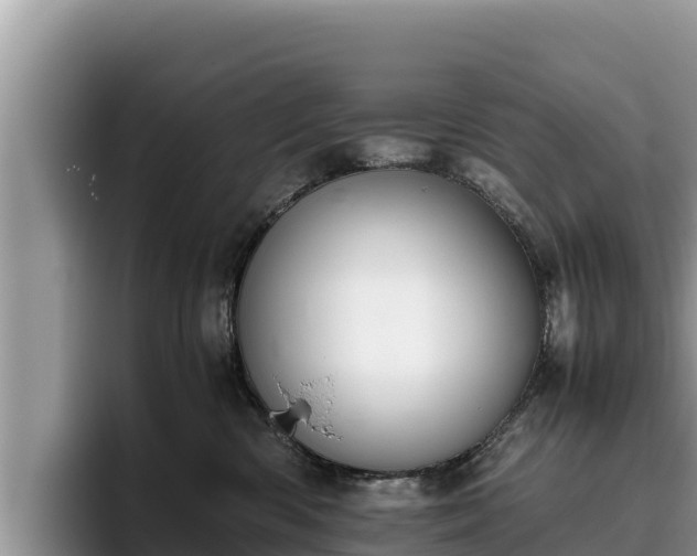 X0000095890426200801181229