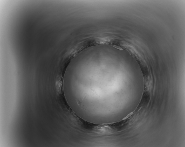 X0000095890427200801181229