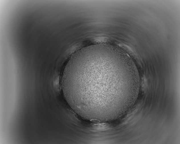 X0000095890428200801181229