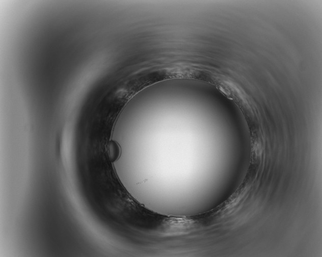 X0000095890429200801181229