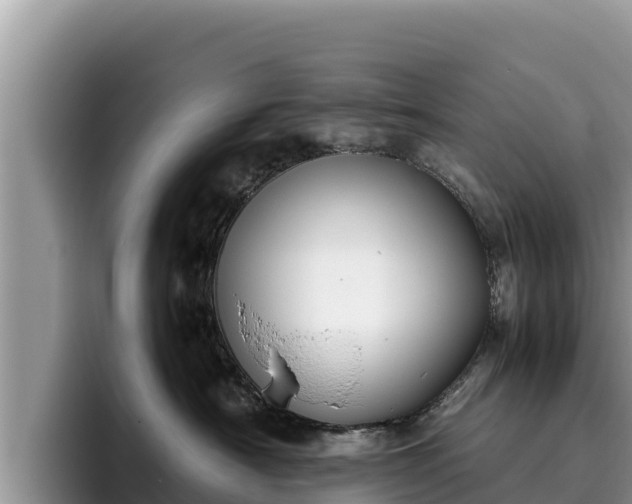 X0000095890430200801181229
