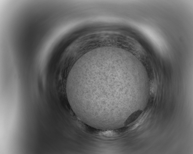 X0000095890431200801181229
