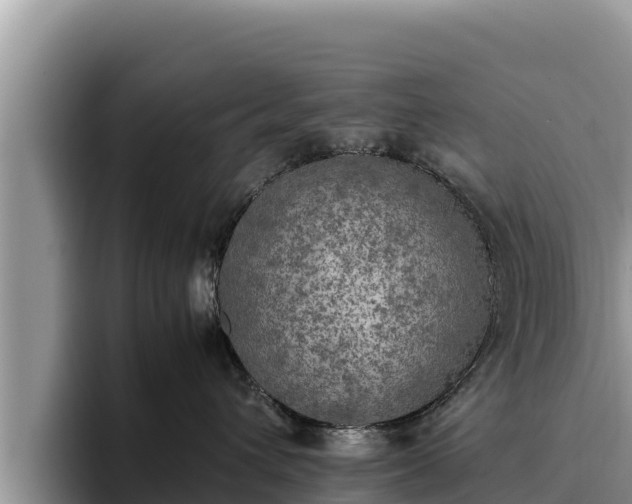 X0000095890432200801181229