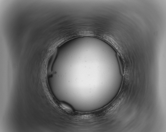 X0000095890433200801181229