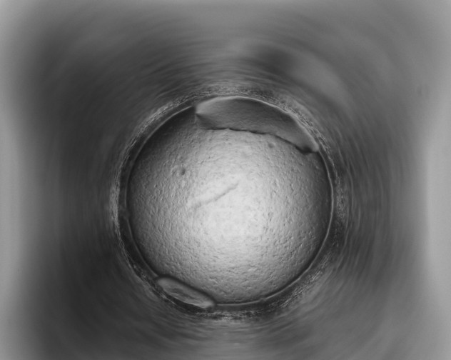 X0000095890434200801181229