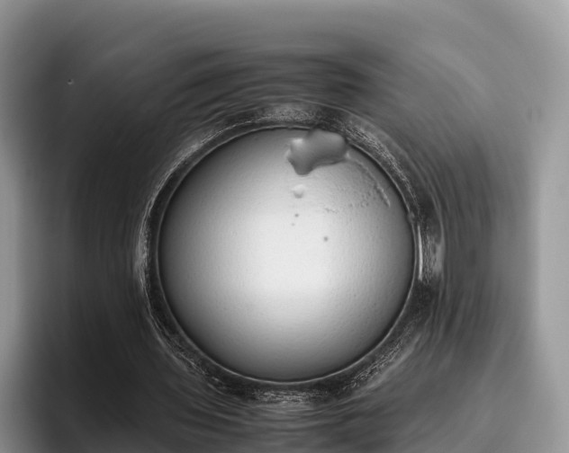 X0000095890435200801181229