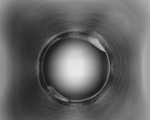 X0000095890436200801181229