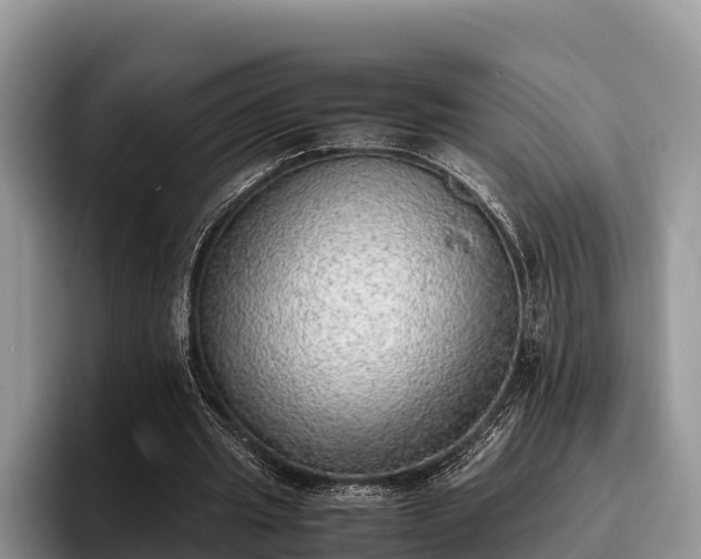 X0000095890437200801181229