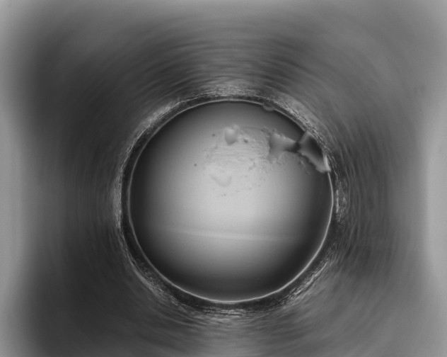 X0000095890438200801181229