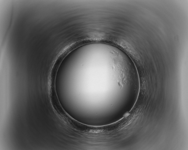 X0000095890440200801181229