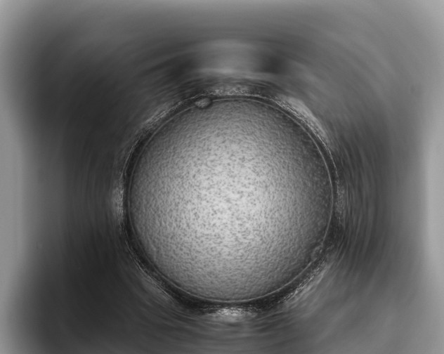 X0000095890441200801181229