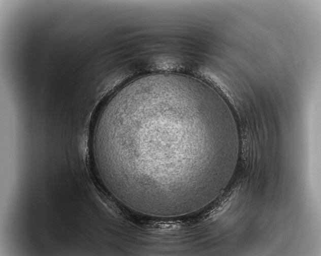 X0000095890443200801181229