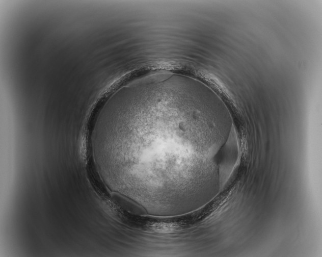 X0000095890444200801181229
