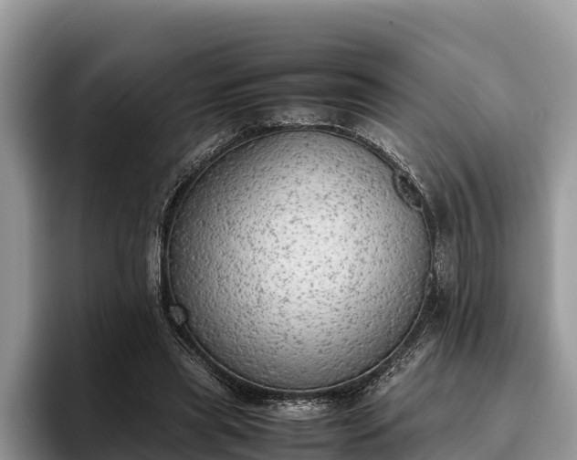 X0000095890445200801181229