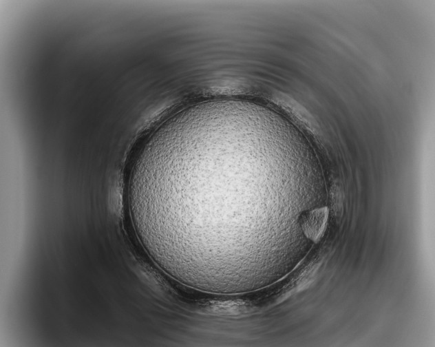 X0000095890446200801181229