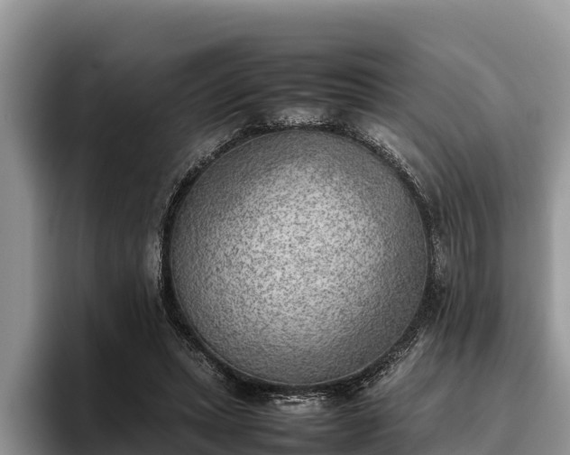 X0000095890447200801181229