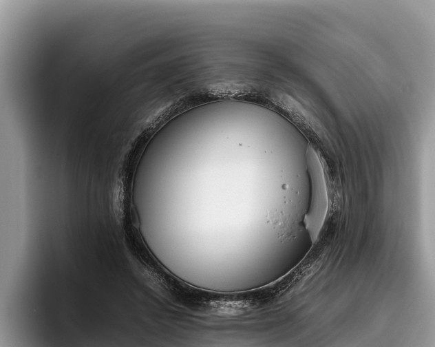 X0000095890448200801181229