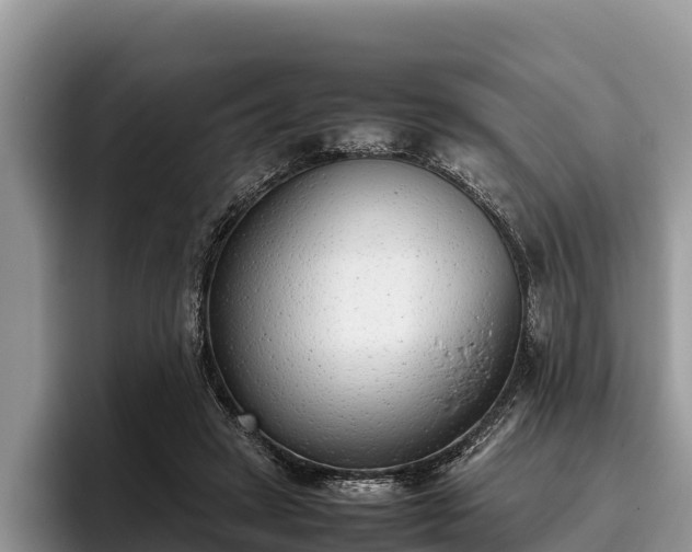 X0000095890449200801181229
