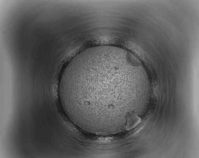 X0000095890450200801181229